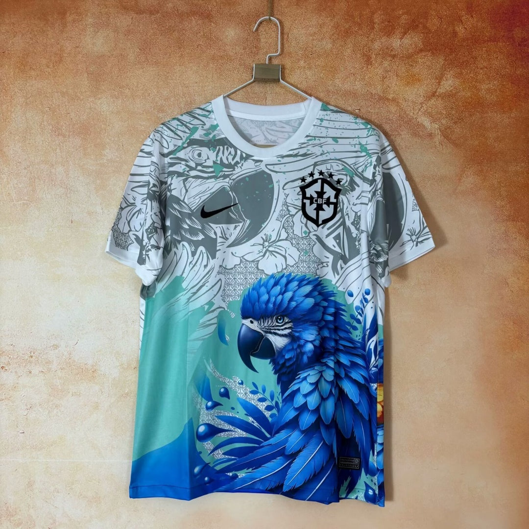Brazil 2025/26 Special Jersey