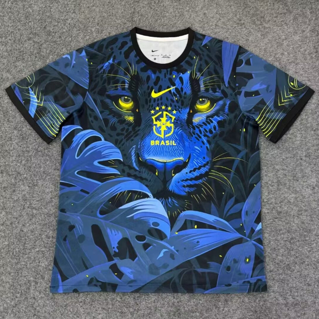 Brazil 2025/26 Special Jersey