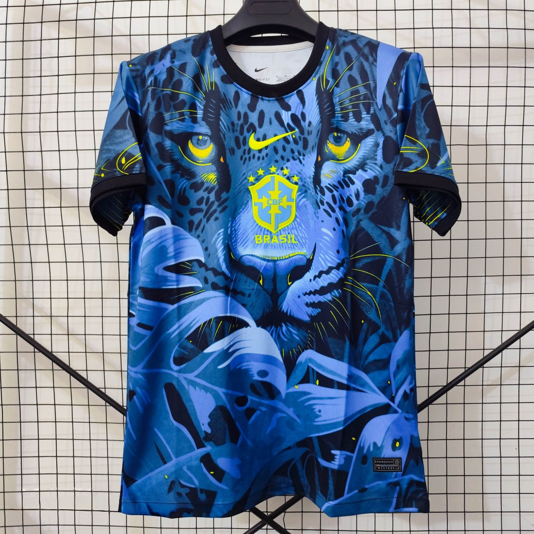 Brazil 2025/26 Special Jersey