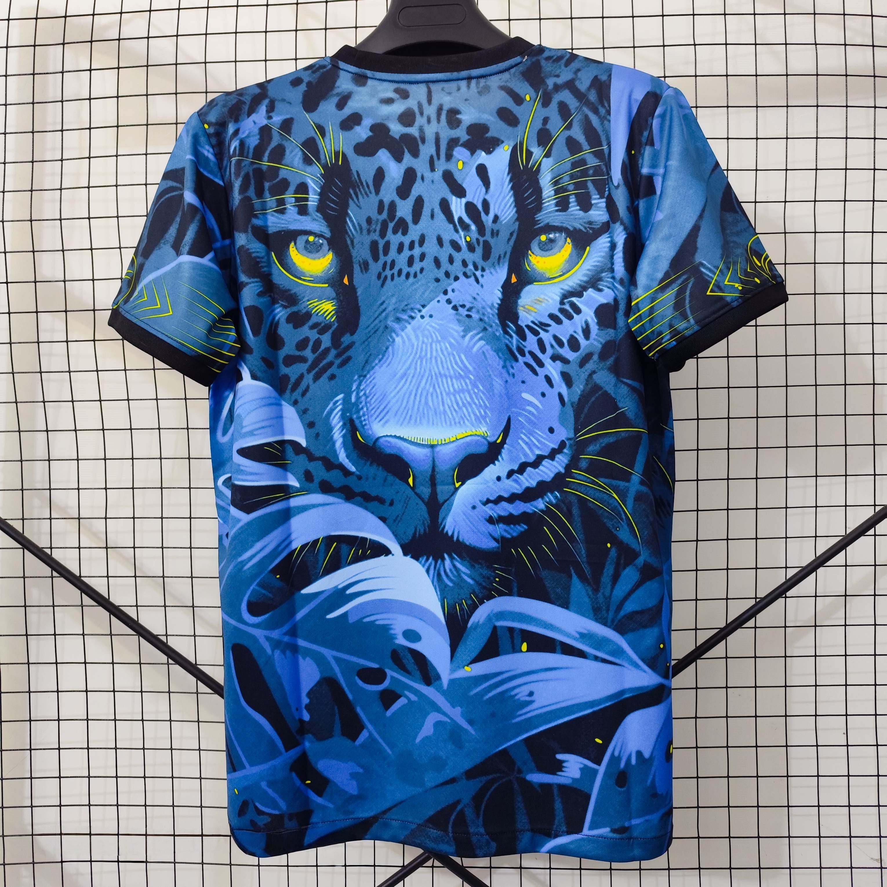 Brazil 2025/26 Special Jersey