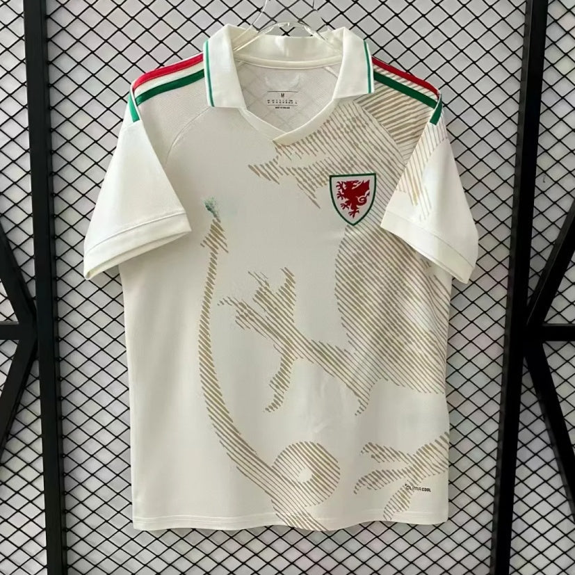 Wales 2025/26 Away Jersey